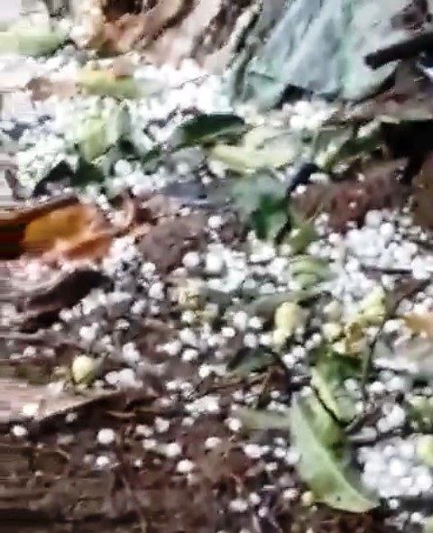 Mưa đá hạt nhỏ nên được cho là không ảnh hưởng nhiều đến nông nghiệp