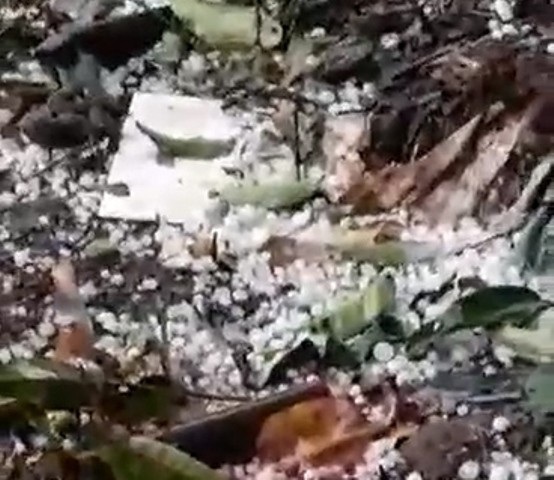 Xuất hiện mưa đá ở huyện miền núi - 4