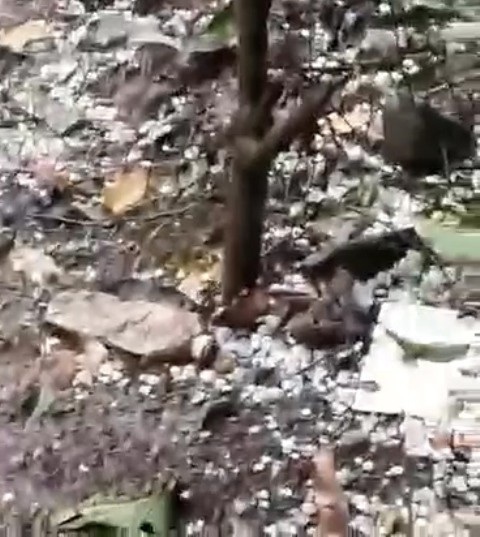 Nhiều địa phương xảy ra mưa đá