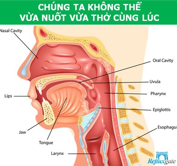 Giới khoa học “bóc mẽ” những điểm bất cập trong cấu tạo cơ thể người - 1 Giới khoa học “bóc mẽ” những điểm bất cập trong cấu tạo cơ thể người - 1
