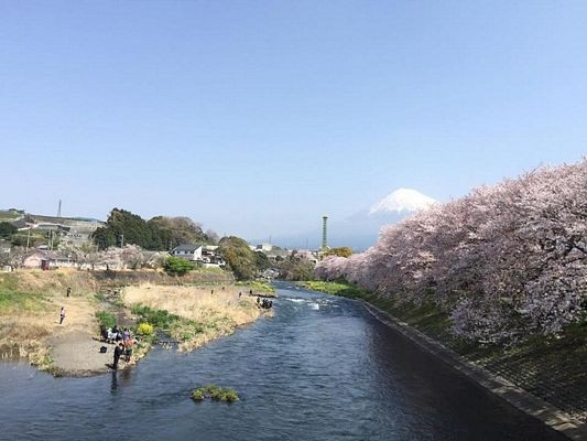 Trải nghiệm Nhật Bản mùa cao điểm hoa anh đào - 7