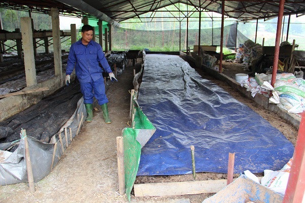 Chỉ nuôi giun Nhật, lãi 80-100 triệu đồng mỗi tháng - 4 Ngoài phát triển kinh tế gia đình, anh Hồng còn chia sẻ kinh nghiệm cho mọi người cùng biết. Ảnh Vũ Bảo
