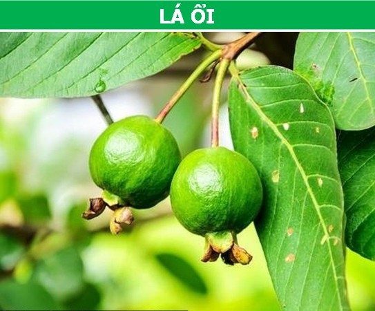 Những phương pháp cực đơn giản giúp làm dịu cơn đau răng tức thì - 6 Những phương pháp cực đơn giản giúp làm dịu cơn đau răng tức thì - 6