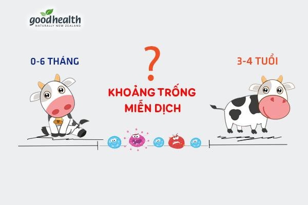 “Khoảng trống miễn dịch” – Là giai đoạn trẻ dễ bị virus, vi khuẩn tấn công nên thường xuyên ốm vặt