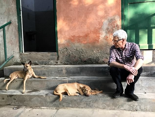 Hy hữu MC suýt mất mạng vì bất cẩn khi ghi hình - 1 Chương trình “For The Love Of Dog” do MC Paul OGrady dẫn dắt là một chương trình truyền hình ăn khách, đã từng giành nhiều giải thưởng, xoay quanh tình bạn giữa con người và những chú chó.
