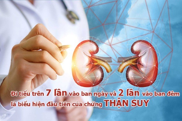 Bí quyết ứng phó với bệnh “khó nói” của NSND Hồng Vân - 2 Tiểu đêm, tiểu ngày nhiều lần không chỉ gây phiền toái trong cuộc sống mà còn là biểu hiện ban đầu của SUY THẬN.