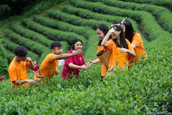 7 lý do trẻ nên tham gia Trại hè Anh ngữ - 3