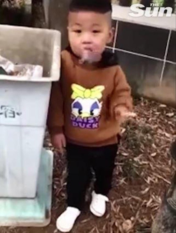 Sốc với cảnh nhóc 3 tuổi phì phèo thuốc lá, bị mẹ nhắc vẫn dửng dưng - 3 Thuốc lá khiến trẻ mắc bệnh hành vi, viêm màng não và có tỷ lệ bị ung thư cao gấp 1,6 – 8 lần người lớn