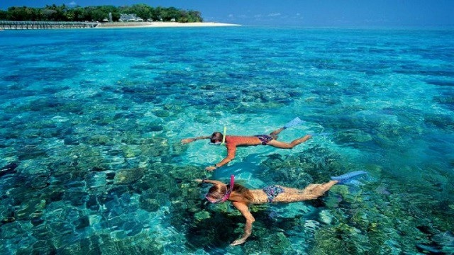 Hòn Móng Tay - Thiên đường hoang sơ đẹp không kém Maldives - 5 Trải nghiệm lặn ngắm bãi san hô là trải nghiệm thú vị. Nguồn: phuquocxanh.com