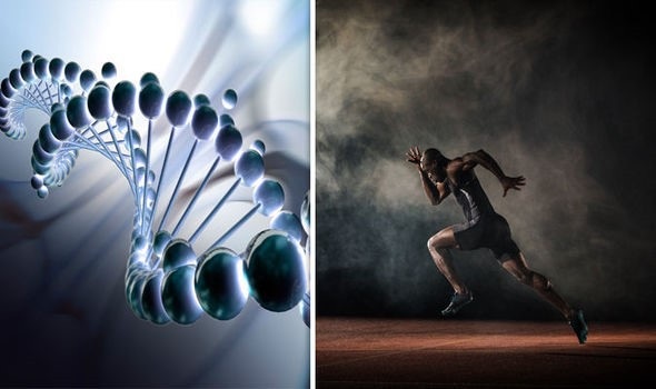 Chỉnh sửa gen có thể tạo ra một thế hệ doping mới cho các vận động viên - 1