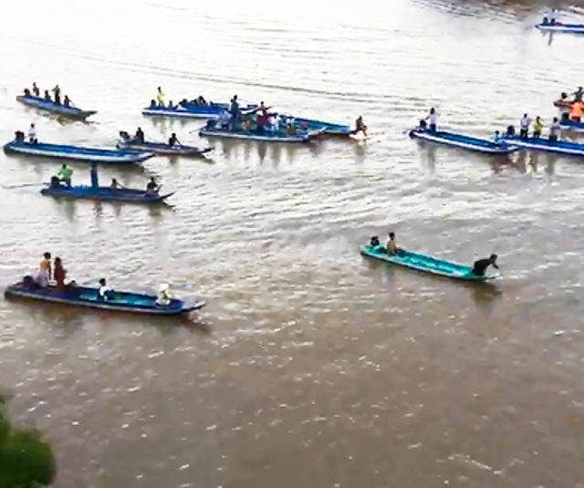 Người dân “hộ tống” cá heo bơi về biển - 2
Nhiều người dân dùng vỏ máy để hộ tống cá heo về biển. (Ảnh cắt từ clip)