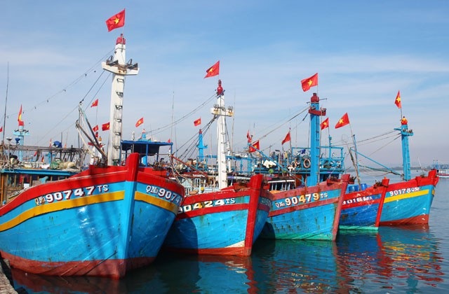 Thiếu trầm trọng lao động đi biển dù ứng trước ...cả trăm triệu đồng - 3 Số lượng và công suất tàu cá ngày càng tăng là nguyên nhân dẫn đến tình trạng khan hiếm lao động đi biển