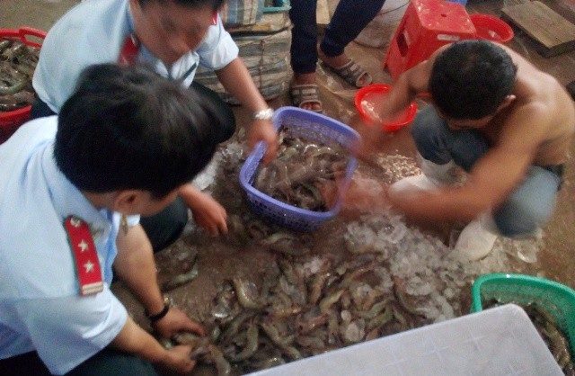 Bơm tạp chất vào tôm nguyên liệu bị phạt hơn 185 triệu đồng - 1 Một vụ bắt tôm tạp chất trên địa bàn tỉnh Bạc Liêu.