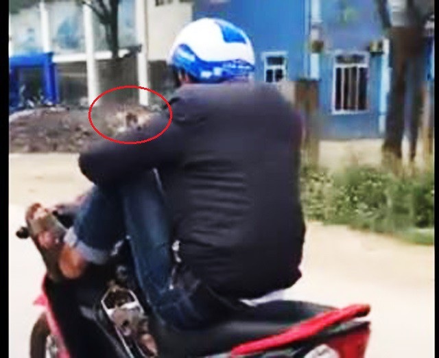 Nam thanh niên lái xe máy bằng chân, tay bấm điện thoại - 2 Nam thanh niên bấm điện thoại khi điều khiển xe bằng hai chân lưu thông trên đường (ảnh cắt từ clip)