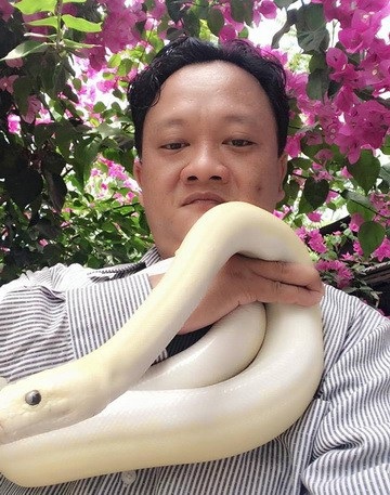 Kỳ lạ rắn bạch tạng “mắt đỏ” dài 2m, để chơi không bán của dân chơi Ninh Bình - 9 Bạch xà rất được người dân quan tâm hỏi mua về làm kiểng, giá bán rất cao so với giá trăn thông thường.