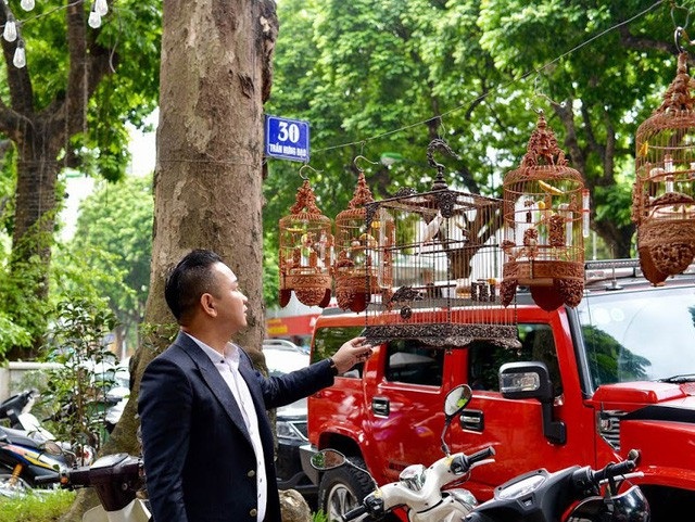 Kỳ lạ rắn bạch tạng “mắt đỏ” dài 2m, để chơi không bán của dân chơi Ninh Bình - 5 Chương Tailor được ví như ông vua chim màu Việt Nam nhờ sở hữu số lượng chim quý, hiếm độc nhất vô nhị.