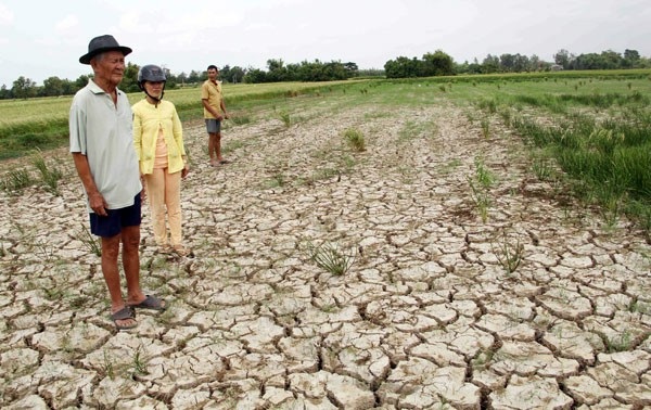 Thủ tướng: Nước Mekong suy kiệt tác động tiêu cực đến Đồng bằng sông Cửu Long - 2 Đồng bằng sông Cửu Long chịu tác động tiêu cực do nguồn nước Mekong suy kiệt