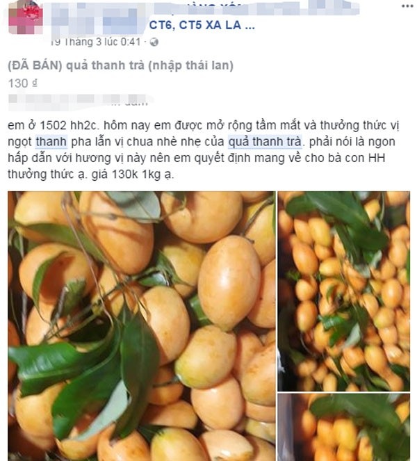 Bí ẩn loại quả giống hệt biwa Nhật: Cơn sốt trên vỉa hè Hà Nội - 3
Trên mạng xã hội, thanh trà được rao bán khá nhiều, song một số người quảng cáo là hàng Thái Lan, số khác nói là hàng miền Tây