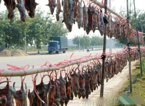 “Khóc thét” với 5 đặc sản không dành cho người yếu tim ở miền Tây - 2 Khô chuột với cách sơ chế khá cầu kỳ
