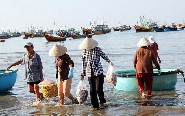 Đẹp mê hồn “vương quốc sao biển” ngay ở Phú Quốc - 5 Sáng sớm cùng ngư dân trải nghiệm niềm vui thu hoạch . Ảnh: Cẩm nang phú quốc