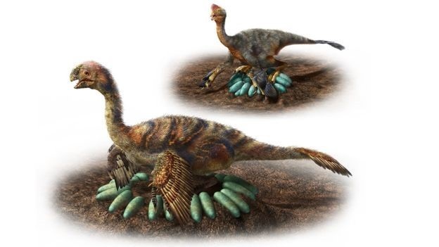 Khủng long ấp trứng như thế nào? - 4
Ảnh minh họa: hành vi ấp trứng của oviraptorosaur lớn và nhỏ - Ảnh từ Masato Hattori.