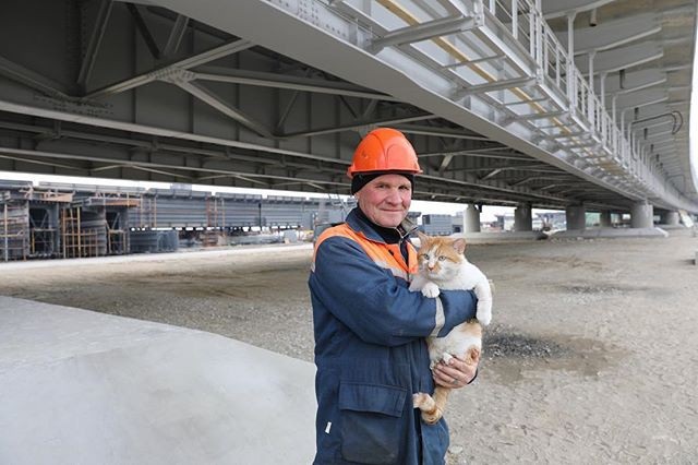 "Giám sát viên" 4 chân nổi tiếng của cây cầu thế kỷ nối liền Nga - Crimea - 4 Mèo Mostik rất được người dân Nga và các công nhân xây dựng cầu yêu quý, coi như một biểu tượng của công trình thế kỷ. (Ảnh: Instagram)
