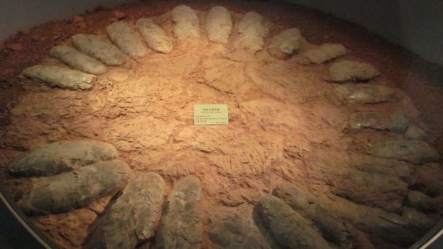 Khủng long ấp trứng như thế nào? - 3
Tổ của một con oviraptorosaur lớn – có một khoảng trống lớn ở trung tâm để khủng long bố mẹ ngồi lên - Ảnh từ Kohei Tanaka