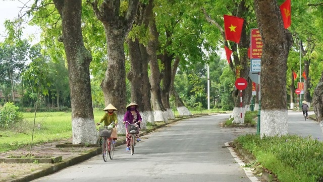 Triệu tấm lòng về với "quê chung" - 1 Con đường xanh mướt bóng cây dẫn về Làng Sen (Kim Liên, Nam Đàn, Nghệ An)