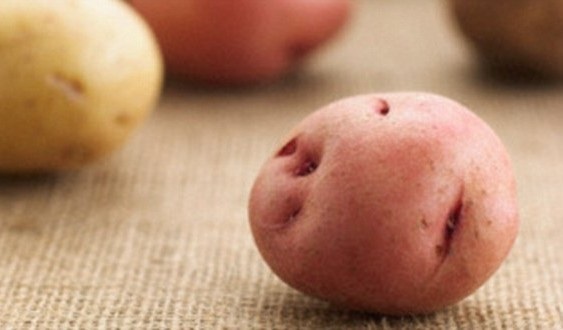 Cô gái trẻ đã tin theo lời khuyên của mẹ, nhét khoai tây vào “vùng kín” để tránh thai