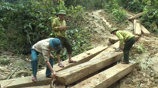 Quảng Bình: Kỷ luật hàng loạt cán bộ vi phạm - 2 Một vụ phá rừng quy mô lớn xảy ra tại huyện Tuyên Hoá, tỉnh Quảng Bình
