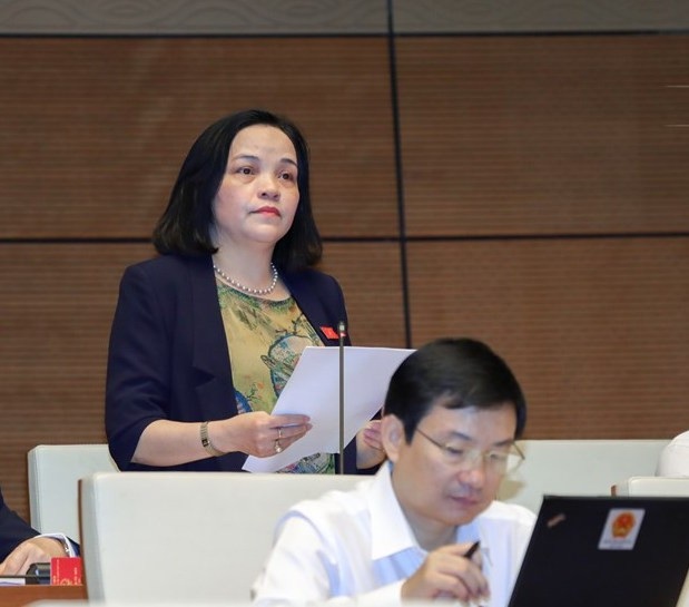“Mỗi ngày nhập tới 2 triệu USD thuốc bảo vệ thực vật, có đúng không?” - 1 Đại biểu Hà Thị Minh Tâm (Hà Nam).