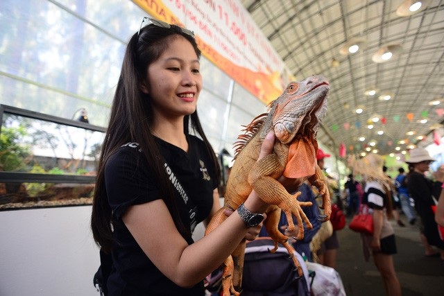 Lễ hội trái cây Nam Bộ 2018: Không thu phí trẻ em ngày 1/6 - 6 Du khách như lạc vào thiên đường của hàng trăm sắc hoa rực rỡ và thế giới động thực vật kỳ bí tại triển lãm Sinh vật cảnh, Thủy sinh:Rồng Nam Mỹ, sóc bay, cá dạ quang, chim ưng trắng.