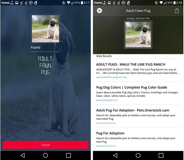 Thủ thuật giúp dễ dàng tìm kiếm bằng hình ảnh trên smartphone - 3 CamFind nhận diện được chú chó trong ảnh là giống chó Pug và đưa ra kết quả tìm kiếm liên quan