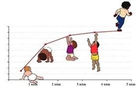 Phôi khác thai, trẻ em không là người thu nhỏ - 2