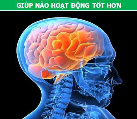 nhung loi ich cua viec nghe nhac co dien_1 nhung loi ich cua viec nghe nhac co dien_1