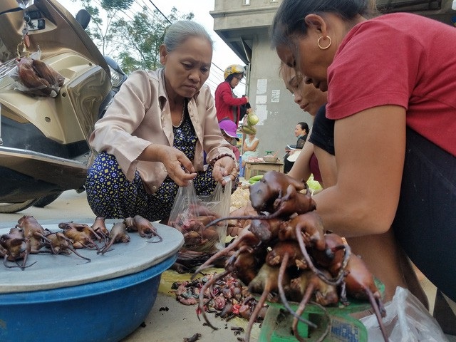 Một số địa phương ở miền Bắc hay vùng miền Tây là những nơi thịt chuột được lên hàng đặc sản. Chuột đồng béo được người dân bắt về, làm sạch rồi chế biến công phu thành nhiều món như hấp lá chanh, rang muối, áp chảo... Tuy nhiên, với người nước ngoài, chuột là con vật bẩn thỉu mang nhiều bệnh dịch. Bởi vậy, đặc sản thịt chuột trở nên lạ lẫm với họ. Thậm chí, nhiều tờ báo nước ngoài xếp món ăn này là một trong những món không nên đặt trên bàn ăn.
