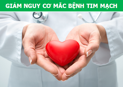Vì sao trà hoa nhài lại chính là “thức uống số 1” cho ngày hè? - 2 Vì sao trà hoa nhài lại chính là “thức uống số 1” cho ngày hè? - 2