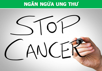 Vì sao trà hoa nhài lại chính là “thức uống số 1” cho ngày hè? - 1 Vì sao trà hoa nhài lại chính là “thức uống số 1” cho ngày hè? - 1
