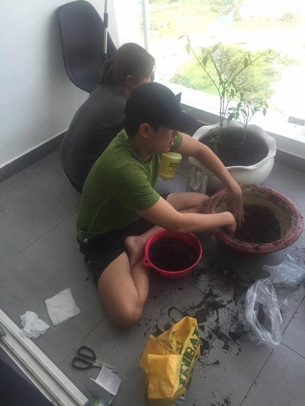 Chốn đi về bình yên của Cát Phượng và chồng trẻ kém 18 tuổi - 12 Kiều Minh Tuấn dành thời gian chăm chút, mua thêm chậu hoa để trang trí ở ban công.