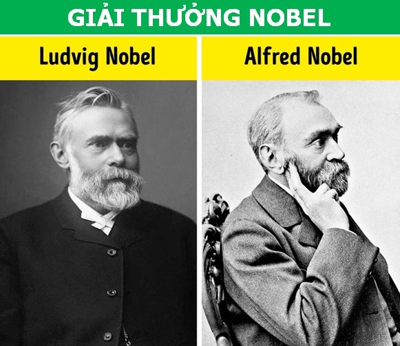 Những phát hiện khoa học tình cờ làm thay đổi lịch sử nhân loại (Phần 1) - 2 Những phát hiện khoa học tình cờ làm thay đổi lịch sử nhân loại (Phần 1) - 2