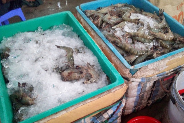 Bắt hơn 100 ký tôm sú chứa tạp chất tạo đặc - 1 Tôm tạp chất vẫn còn diễn ra trên địa bàn tỉnh Bạc Liêu.