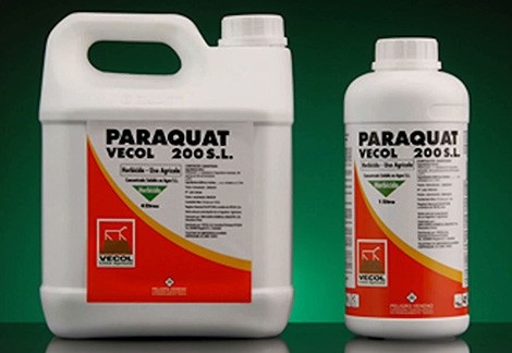 Hai chị em uống thuốc diệt cỏ tự tử vì bị đổ tội ăn cắp - 1 Paraquat là loại thuốc diệt cỏ độc tố cực mạnh đã cướp đi sinh mạng nhiều người (ảnh: minh họa)