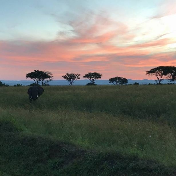 Nhiều du khách thấy e ngại về mức độ an toàn ở các vườn quốc gia tại châu Phi