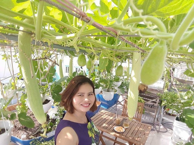 “Vườn nho bê tông” trĩu quả: Trồng 5 gốc nho thu 200kg/ vụ - 11 Vườn rau trên sân thượng xanh mướt mắt của gia đình chị Thương