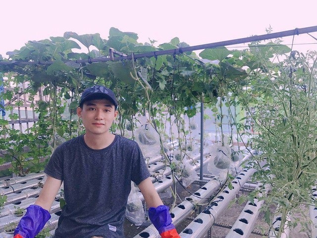 “Vườn nho bê tông” trĩu quả: Trồng 5 gốc nho thu 200kg/ vụ - 10 Với 9x này, khu vườn không chỉ cung cấp rau sạch cho bữa ăn gia đình mà còn là nơi để anh thỏa đam mê trồng cây của mình.