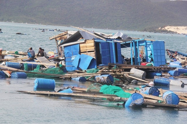 Khánh Hòa xác minh thông tin "người thân cán bộ được hỗ trợ bão, dân thì không" - 1 Lồng bè nuôi trồng thủy sản trên Vịnh Vân Phong (Khánh Hòa) tan nát sau bão Damrey vào năm ngoái