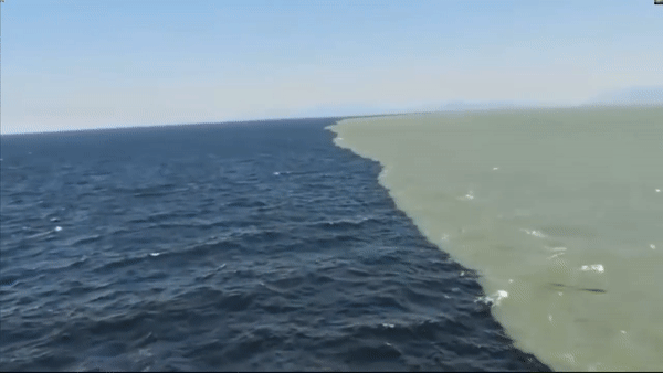 Ranh giới giữa nước ngọt và nước mặn (Ảnh: Internet)
