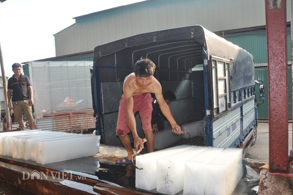Đủ dịch vụ ăn theo mùa vải thiều: "Lái mồm" cũng kiếm bộn tiền - 8 Công nhân làm đá tại cơ sở sản xuất đá cây Cường Ngân ở Lục Ngạn có thu nhập trên dưới 300.000 đồng/ngày, tùy thời điểm.