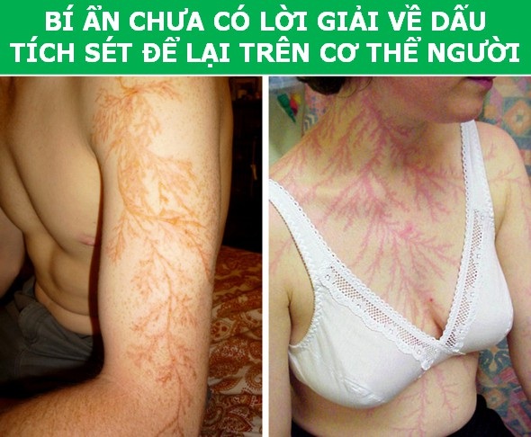 Những sự thật thú vị cho thấy thế giới vẫn luôn khiến chúng ta phải ngạc nhiên! - 3 Những sự thật thú vị cho thấy thế giới vẫn luôn khiến chúng ta phải ngạc nhiên! - 3