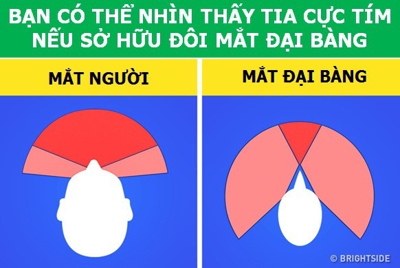 Những sự thật thú vị cho thấy thế giới vẫn luôn khiến chúng ta phải ngạc nhiên! - 6 Những sự thật thú vị cho thấy thế giới vẫn luôn khiến chúng ta phải ngạc nhiên! - 6